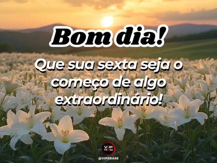 sexta feira mensagem de bom dia para um começo extraordinário