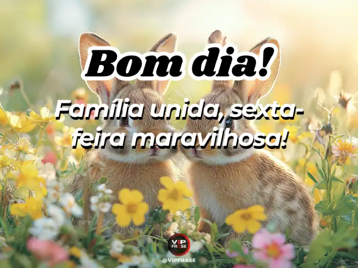 sexta feira mensagem de bom dia para uma família unida e maravilhosa