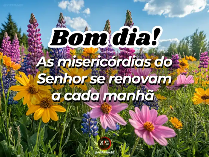 Frase, as misericórdias do Senhor se renovam a cada manhã