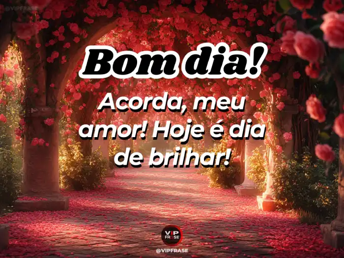 Bom dia amor da minha vida, acorda e vem brilhar