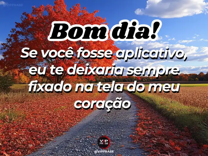 Manhã maravilhosa, você é o aplicativo fixado na tela do meu coração