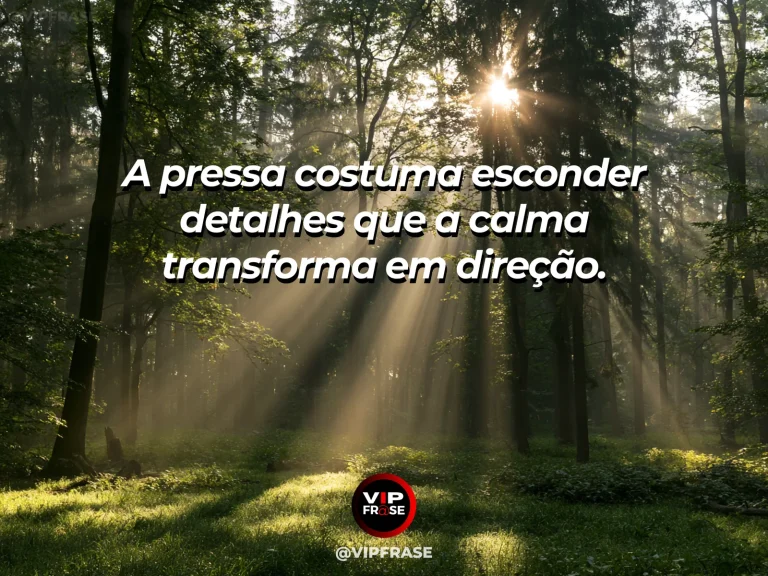 Frase reflexiva sobre calma e direção, com caminho iluminado entre árvores.