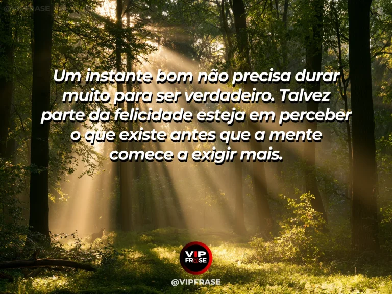 Mensagem reflexiva sobre felicidade no instante presente, com luz do sol refletindo na água ao lado de flores coloridas.