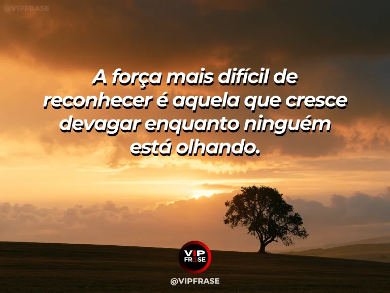 Frase reflexiva sobre forca com pequena árvore verde crescendo entre pedras banhadas pelo sol.