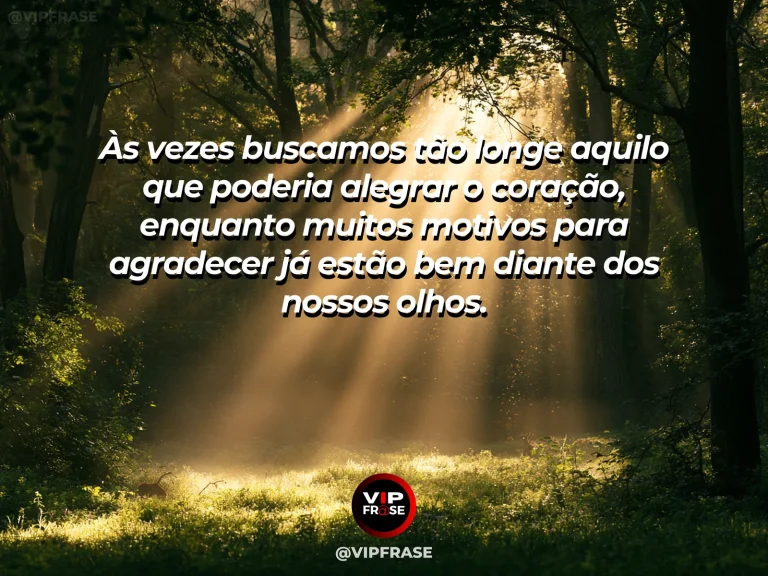 Mensagem de gratidão sobre a gratidão ilumina o que já existe, em raios de sol atravessando folhas verdes