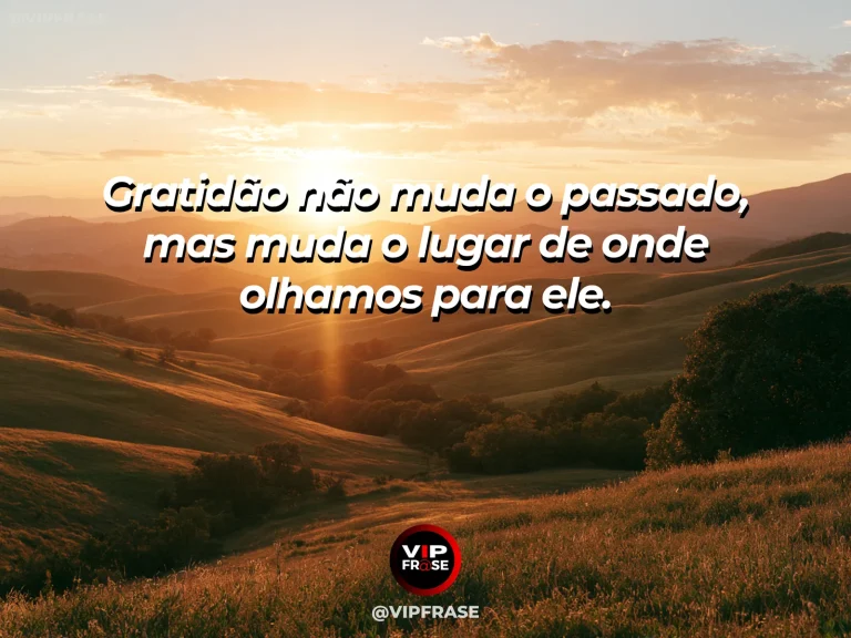 Frase reflexiva sobre gratidao, sabedoria com campo florido dourado pela luz suave do fim da tarde.