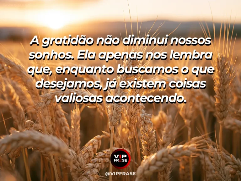 Mensagem de gratidão sobre agradecer faz o bastante aparecer, em horizonte amplo com primeiro plano acolhedor