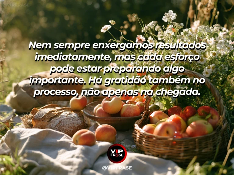 Mensagem de gratidão com cena de mãos não visíveis; planta em diferentes estágios sugeridos numa cena natural, foco no processo gradual