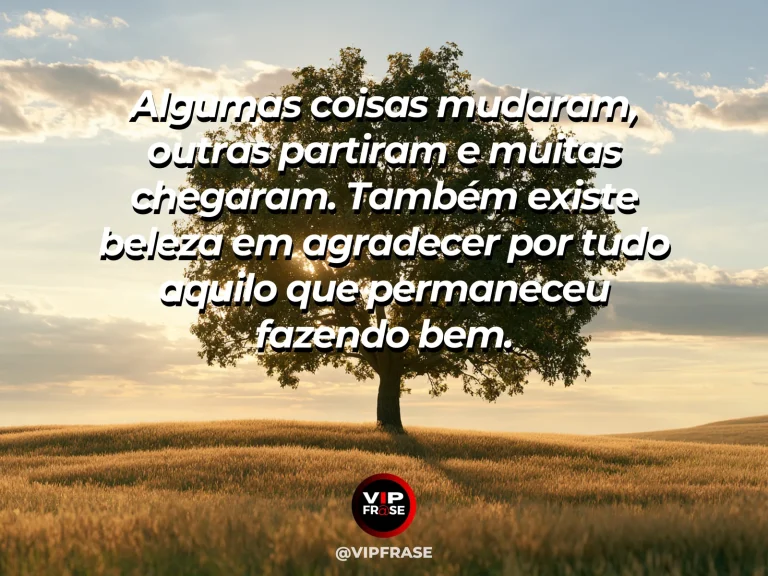 Mensagem de gratidão sobre gratidão pelo que permaneceu, em árvore firme em paisagem tranquila no fim da tarde