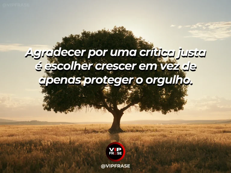 Frase de gratidão com espelho suave e caderno de reflexão, clima maduro