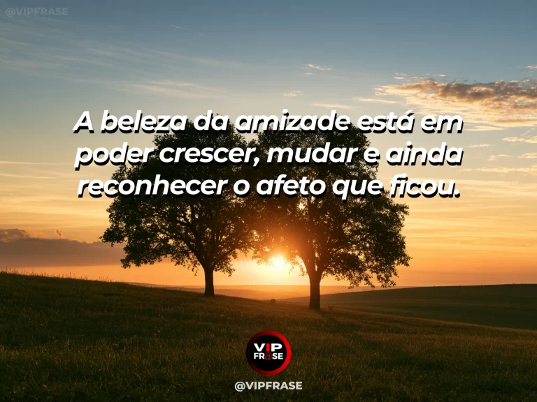 Frase sobre amizade com duas folhas em diferentes tons sobre um mesmo galho iluminado.