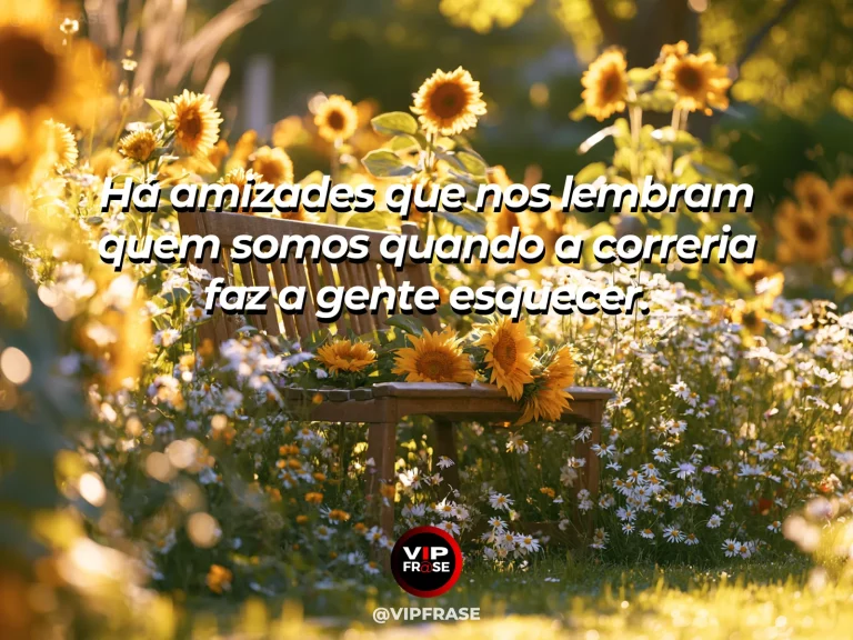 Frase sobre amizade com um espelho pequeno refletindo céu azul ao lado de uma flor aberta.