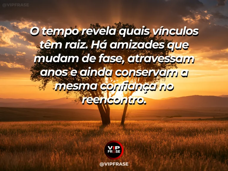 Mensagem de amizade sobre amizades que o tempo só faz fortalecer, em cena de árvore antiga de raízes aparentes ao lado de um caminho tranquilo, simbolizando vínculo profundo que resiste ao tempo.