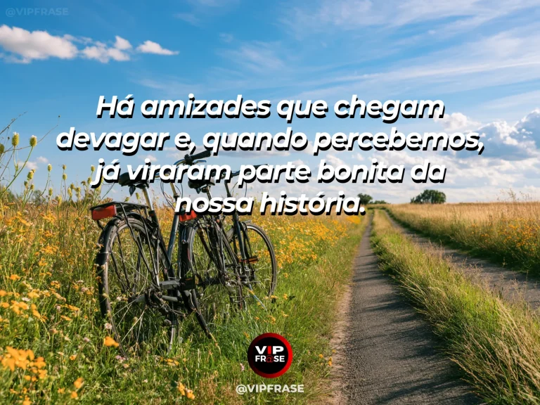 Frase sobre amizade com duas bicicletas apoiadas lado a lado em um caminho florido.