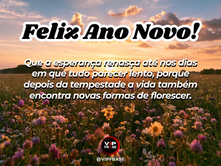 Mensagem de Ano Novo sobre esperanca e superacao, com campo molhado após a chuva com flores e raios de sol entre nuvens.