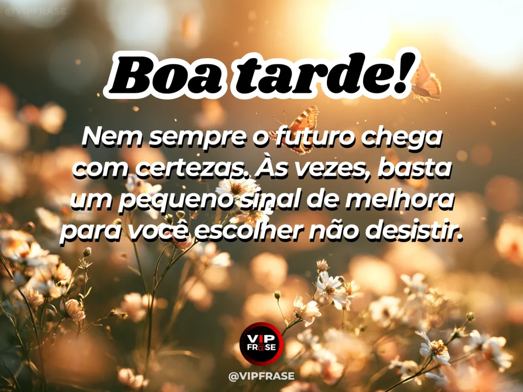 Frase de boa tarde sobre esperança, com pequeno broto iluminado pelo sol dourado da tarde