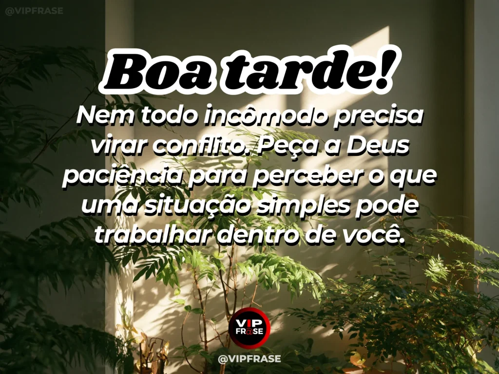 Mensagem de boa tarde com Deus sobre amadurecimento nas contrariedades, com planta crescendo entre pedras.