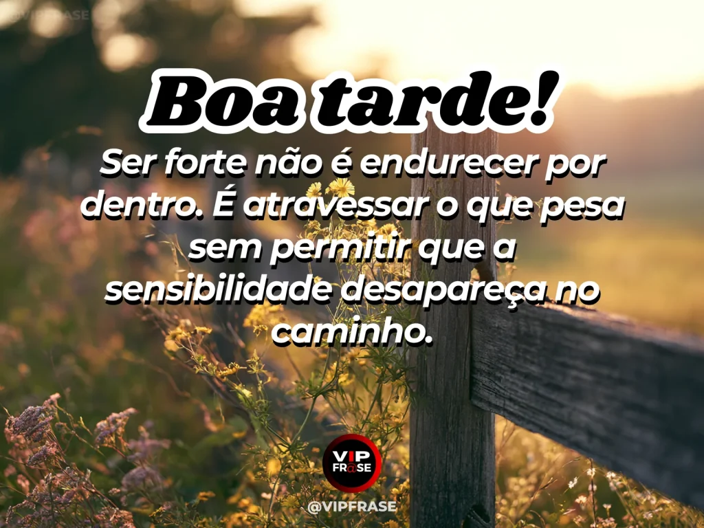 Frase de boa tarde sobre força com sensibilidade, com flor delicada crescendo entre pedras