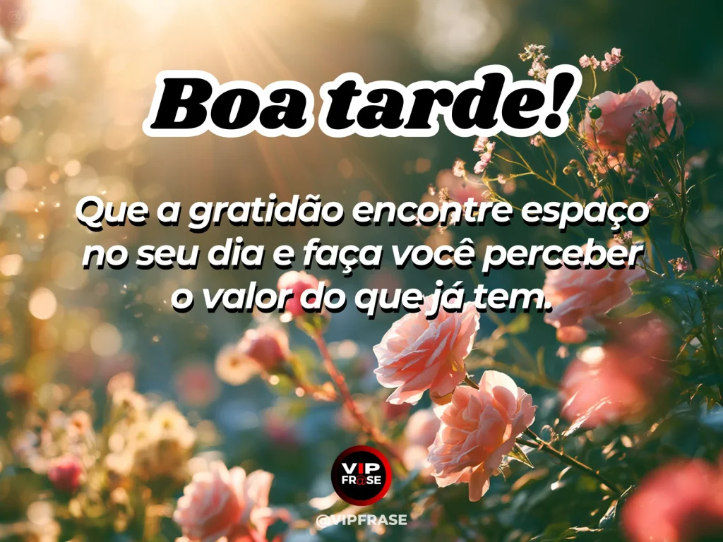Frase de boa tarde sobre gratidão, com luz dourada suave e atmosfera acolhedora.