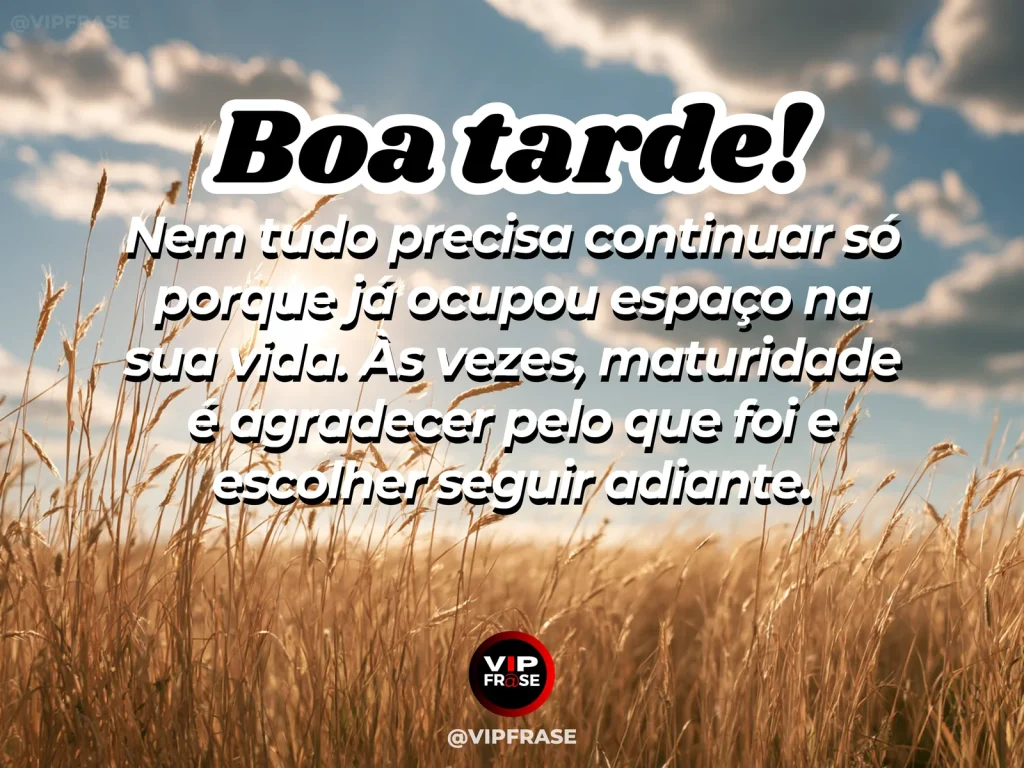 Mensagem de boa tarde sobre sabedoria e desapego, com folhas ao vento no fim da tarde.