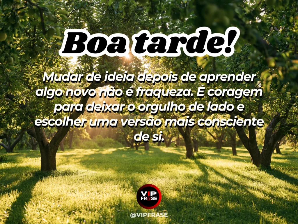 Mensagem de boa tarde sobre coragem e sabedoria, com caminho de escolha ao entardecer.