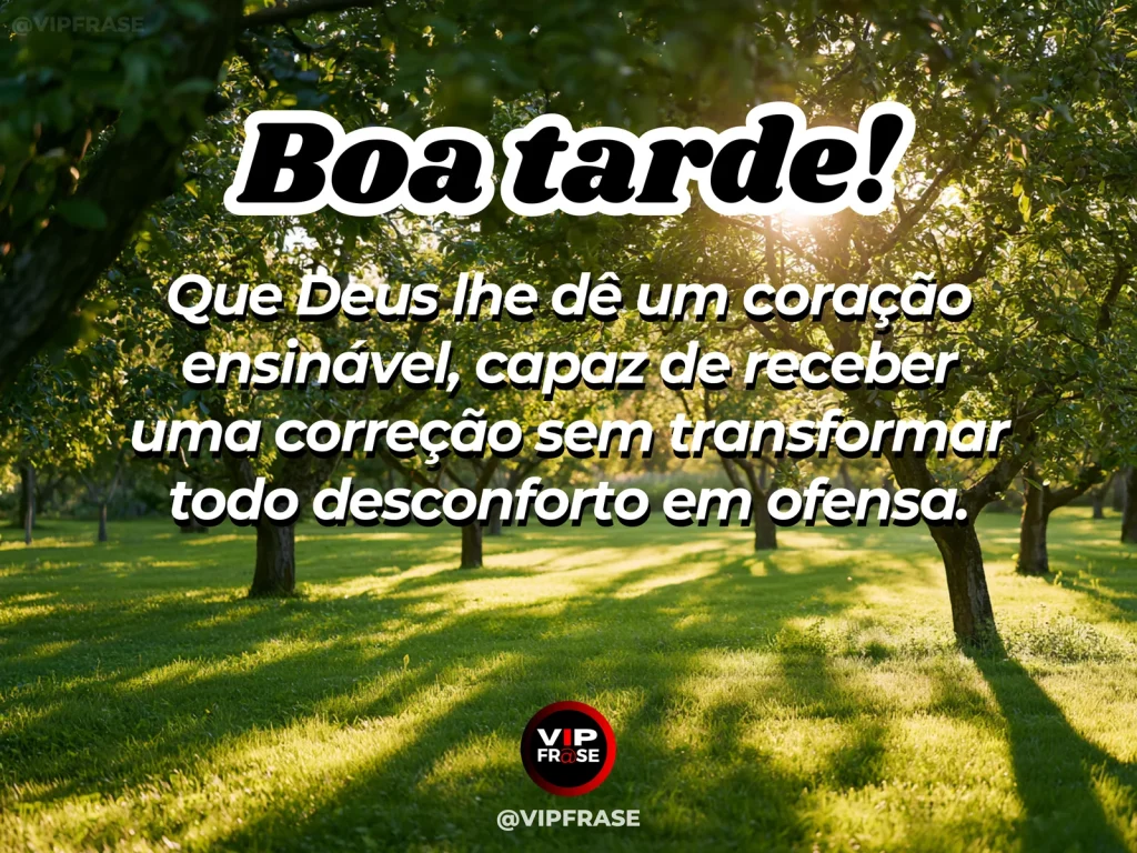 Frase de boa tarde sobre sabedoria de Deus, com livro e caderno iluminados pela luz do fim da tarde
