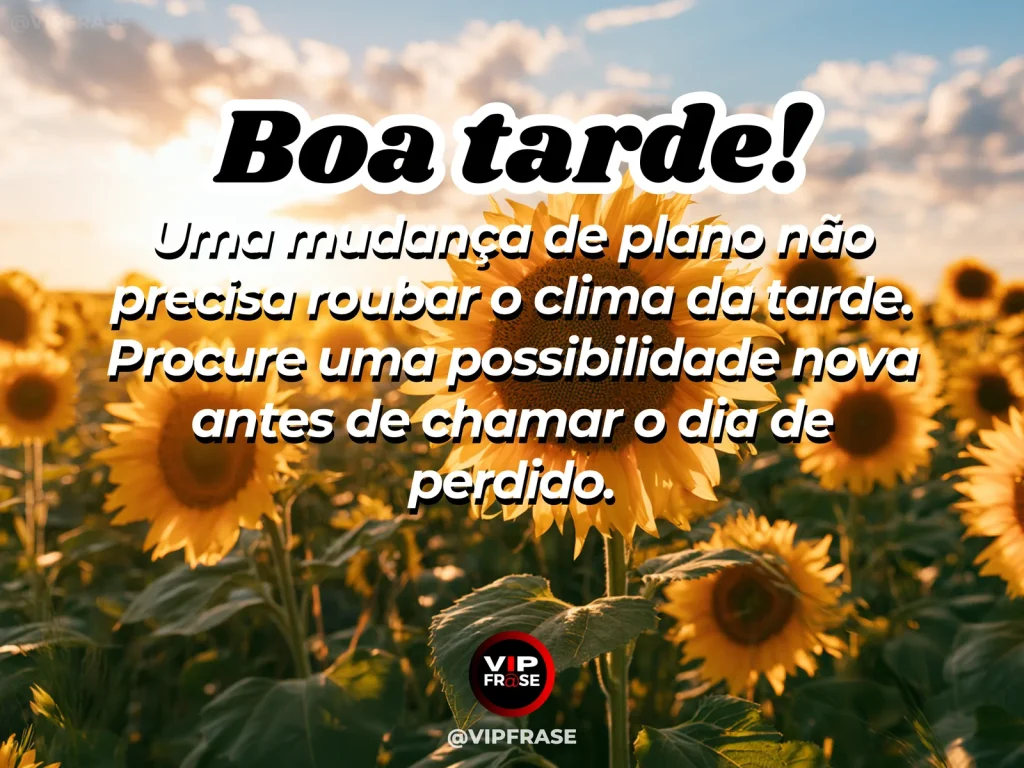 Frase de boa tarde sobre otimismo, com estrada em bifurcação iluminada pelo fim da tarde