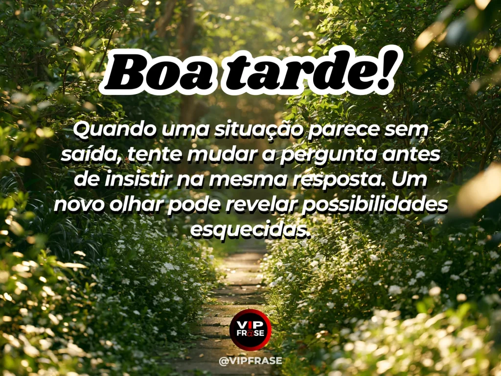 Mensagem de boa tarde sobre sabedoria, com trilha em bifurcação sob luz dourada da tarde.