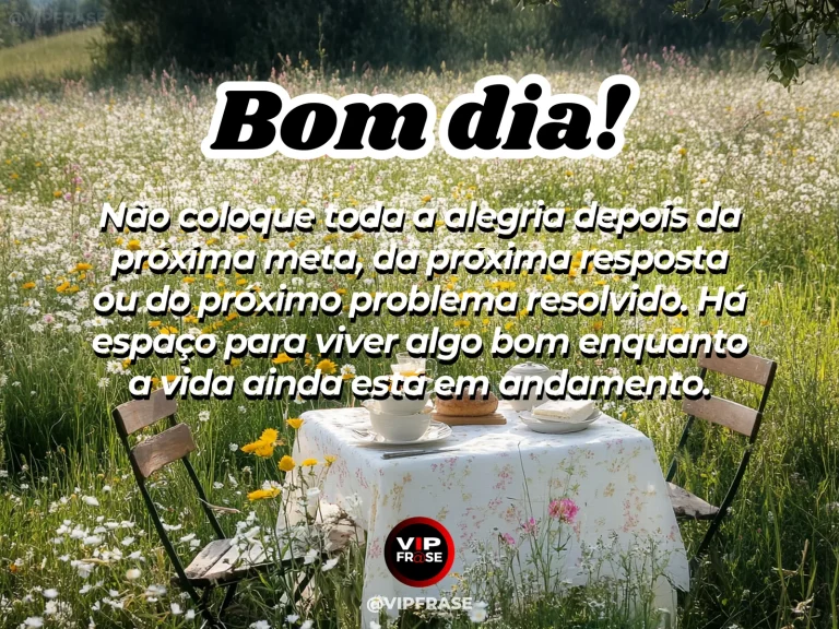 Mensagem de bom dia sobre felicidade, com campo florido iluminado pela manhã.