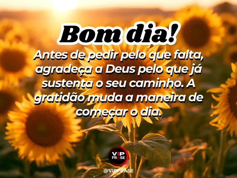 Mensagem de bom dia sobre gratidão a Deus, com campo iluminado pelo nascer do sol
