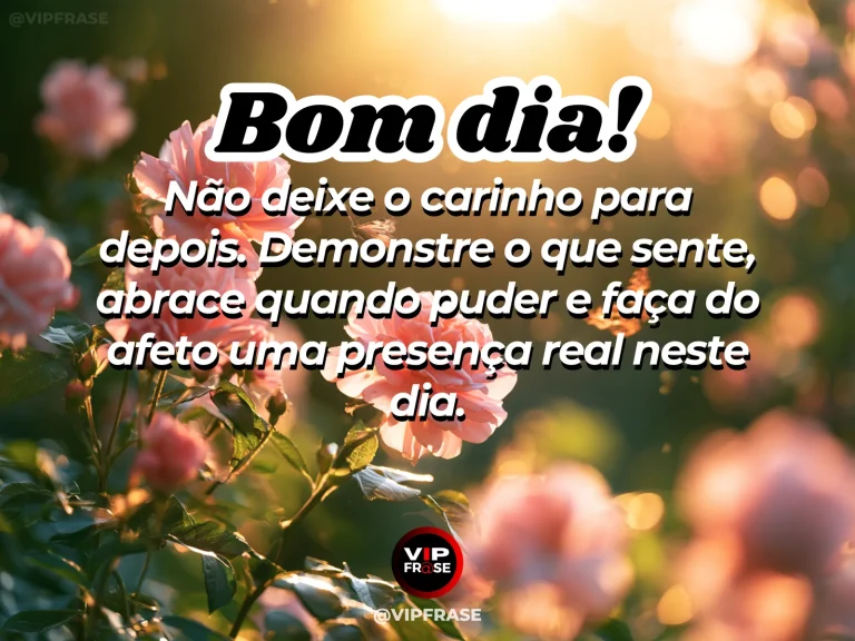 Mensagem de bom dia sobre carinho, com flores frescas sob a luz quente da manhã.