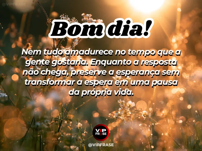 Mensagem de bom dia sobre esperanca, com botão de flor fechado recebendo os primeiros raios de sol.