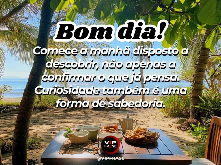 frase de bom dia sobre sabedoria, com livro aberto e luz da manhã em clima de descoberta