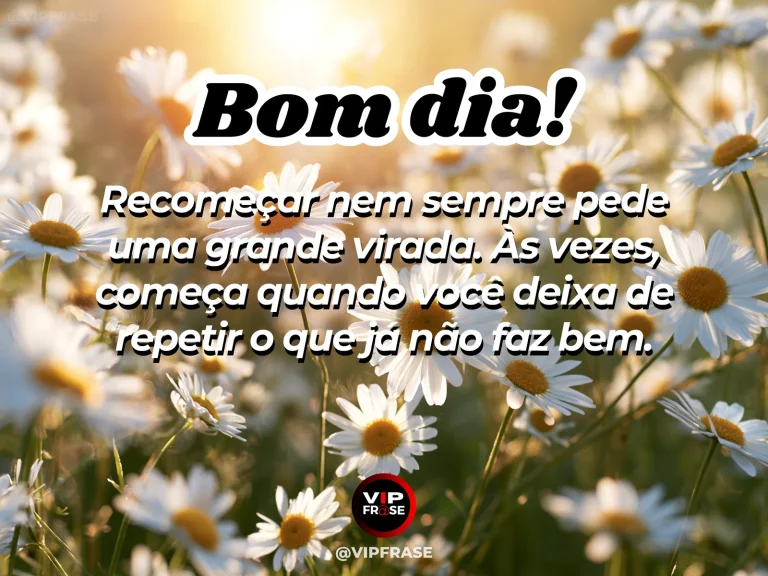 Frase de bom dia sobre recomeco, com um pequeno broto surgindo entre pedras ao nascer do sol.