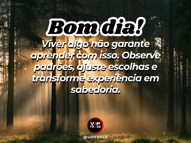 Frase de bom dia sobre sabedoria, com pessoa revendo anotações e experiências.