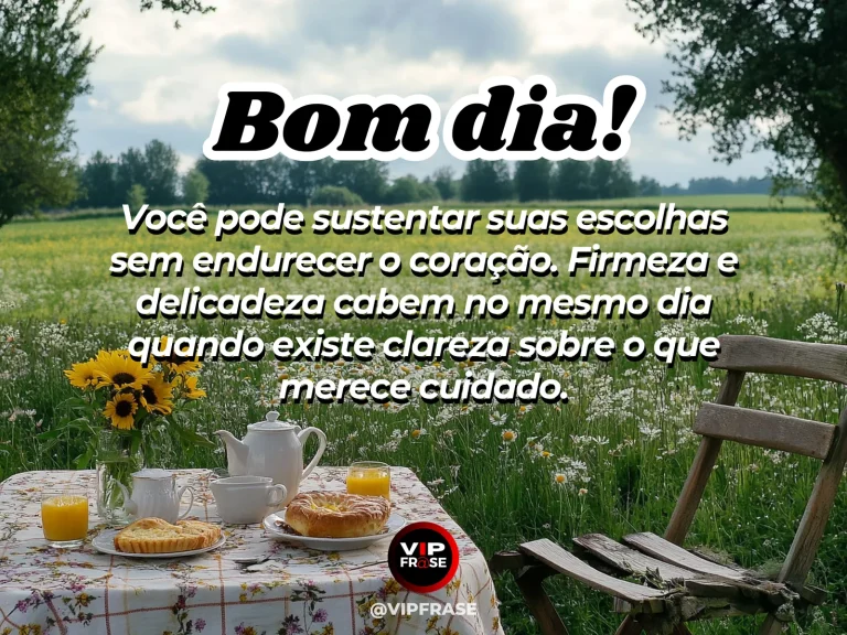 Mensagem de bom dia sobre sabedoria, carinho, com ramo delicado crescendo entre pedras.