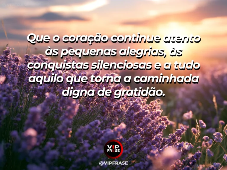 Mensagem de gratidão sobre que nunca faltem motivos para agradecer, em campo com pequenas flores sob luz quente