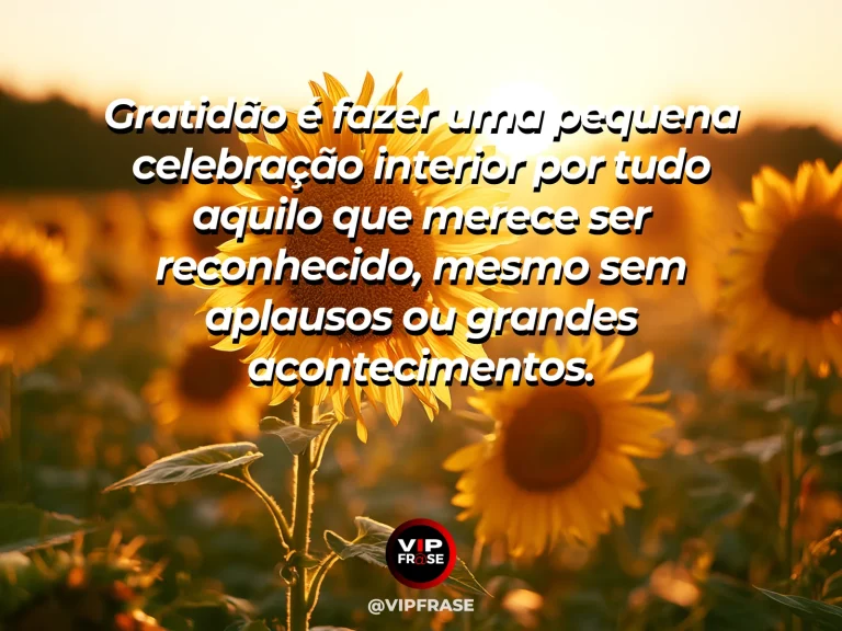 Mensagem de gratidão sobre agradecer também é celebrar a vida, em flores silvestres ao sol em composição luminosa e celebrativa