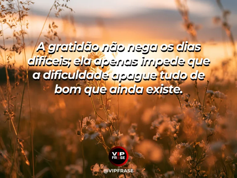 Mensagem de gratidão sobre gratidão em tempos difíceis, com flor resistente surgindo entre pedras após a chuva
