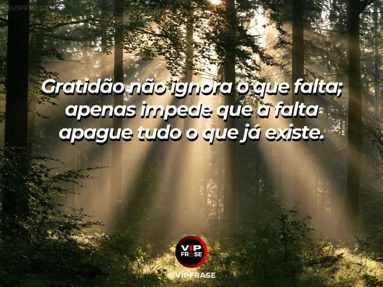 Frase reflexiva sobre gratidão com luz sobre planta, livro e xícara.