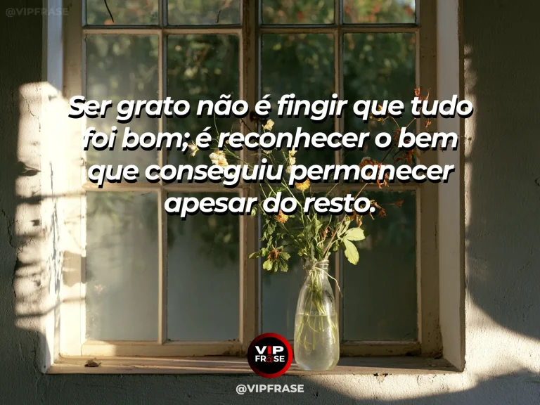 Frase reflexiva sobre gratidao, sabedoria com jardim vibrante após a chuva com gotas brilhando nas folhas.