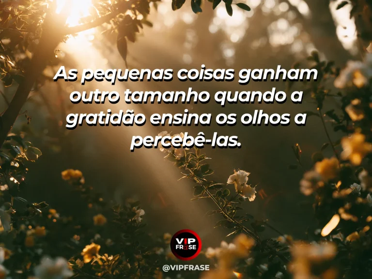 Frase de gratidão em cenário de close delicado de gotas de orvalho sobre folhas e uma pequena flor iluminada pela manhã.