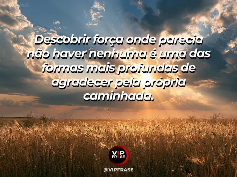 Frase de gratidão em cenário de pequena planta rompendo uma superfície de pedra, símbolo de força interior e continuidade.