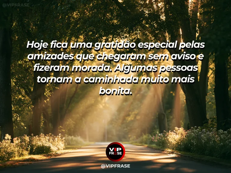 Mensagem de amizade sobre gratidão pelas amizades que a vida trouxe, em cena de caminho iluminado entre árvores com duas sombras suaves lado a lado, transmitindo gratidão pela companhia na jornada.
