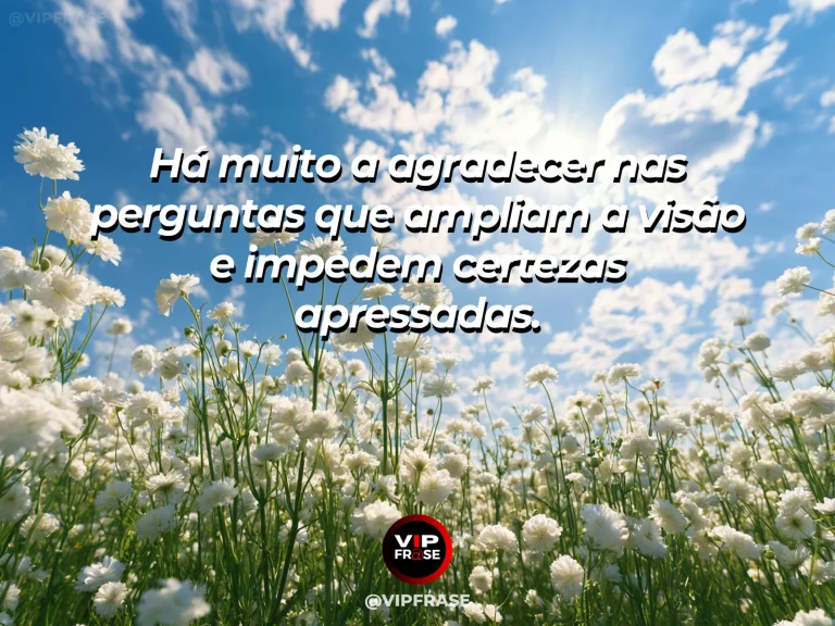 Frase de gratidão com caderno com perguntas e horizonte aberto ao fundo