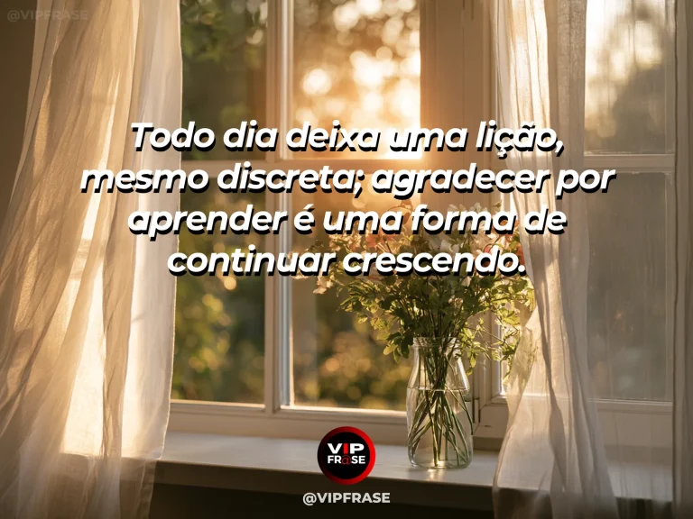 Frase de gratidão em cenário de caderno aberto com anotações abstratas não legíveis e uma pequena planta crescendo ao lado.