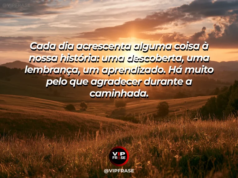 Mensagem de gratidão com cena de estrada tranquila cercada por árvores em diferentes tons, sugerindo passagem e aprendizado diário