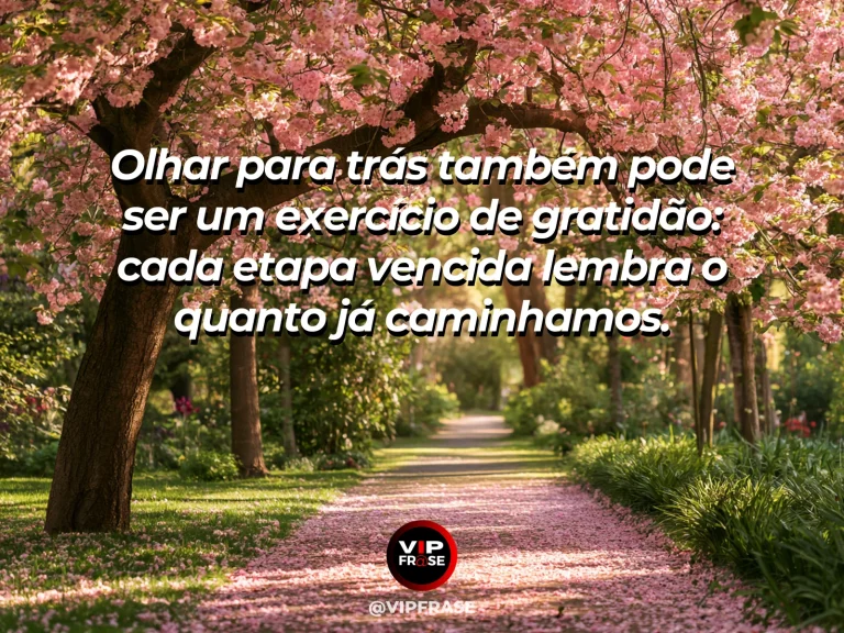 Mensagem de gratidão sobre gratidão pelo caminho percorrido, em trilha em paisagem aberta durante o nascer do sol