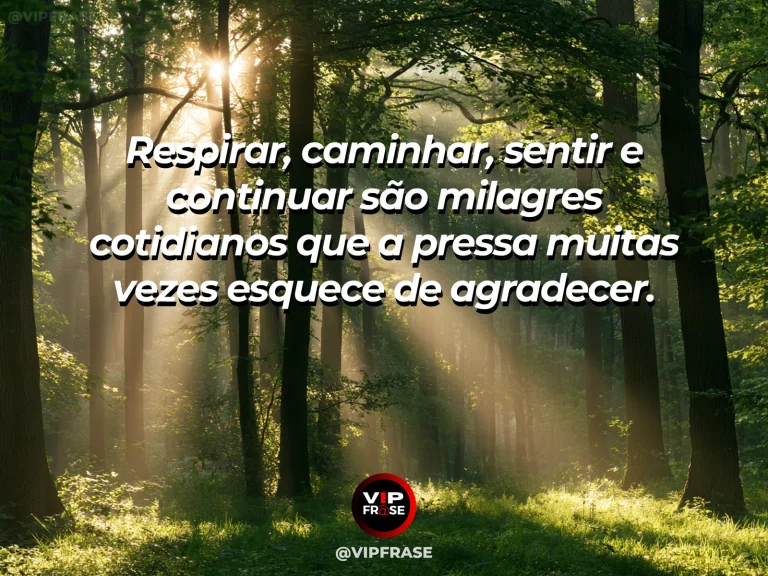 Frase de gratidão em cenário de silhueta discreta caminhando em uma trilha aberta ao amanhecer, com foco na sensação de movimento e vitalidade.
