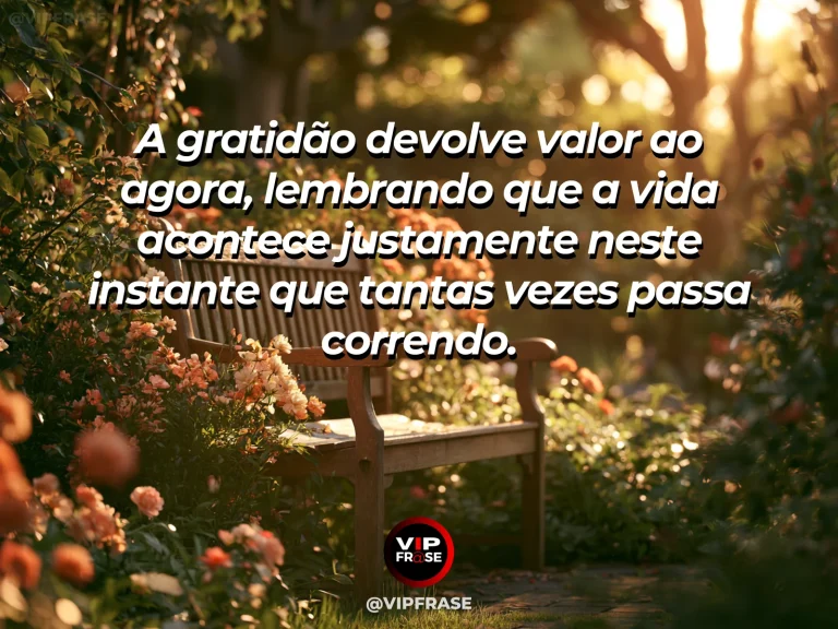 Mensagem de gratidão sobre valor do momento presente, com banco em parque sereno com folhas ao vento e luz dourada do fim da tarde